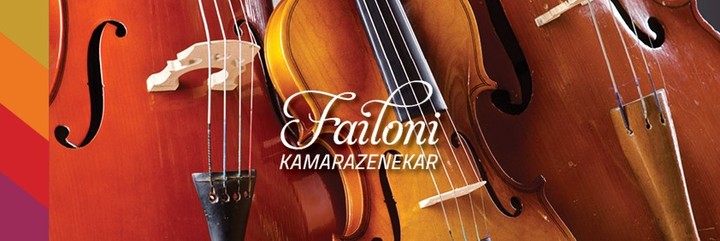 Failoni Chamber Orchestra Master Class